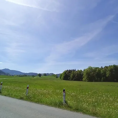 Tutto House Super Choice