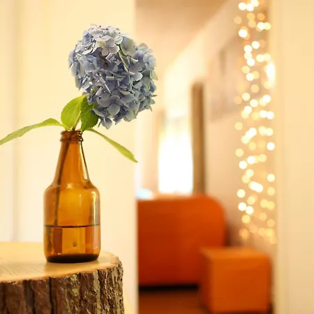 Appartement Tutto House Super Choice